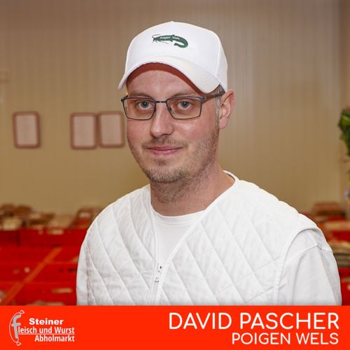 David Pascher - Poigen Wels